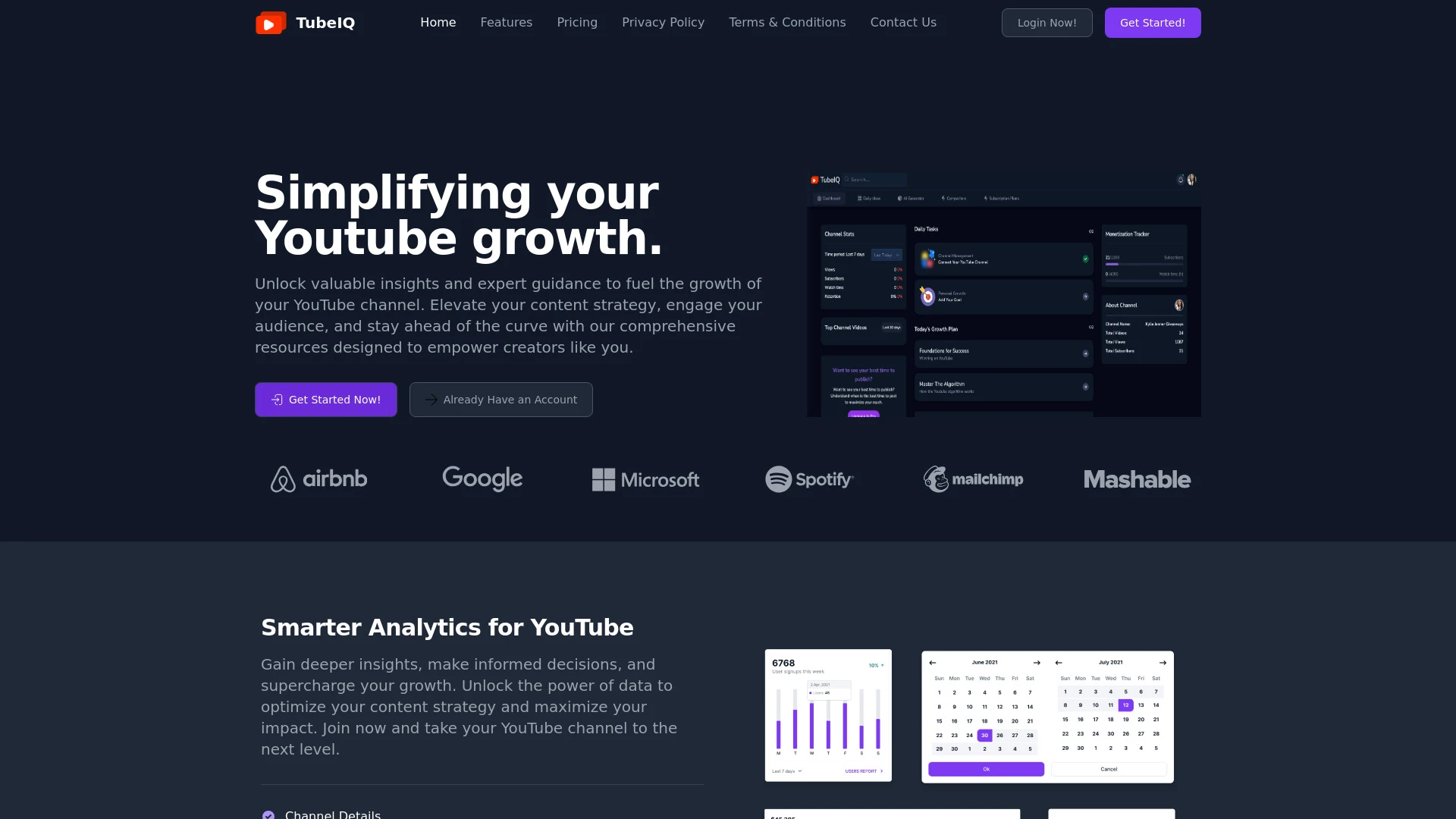 TubeIQ website preview