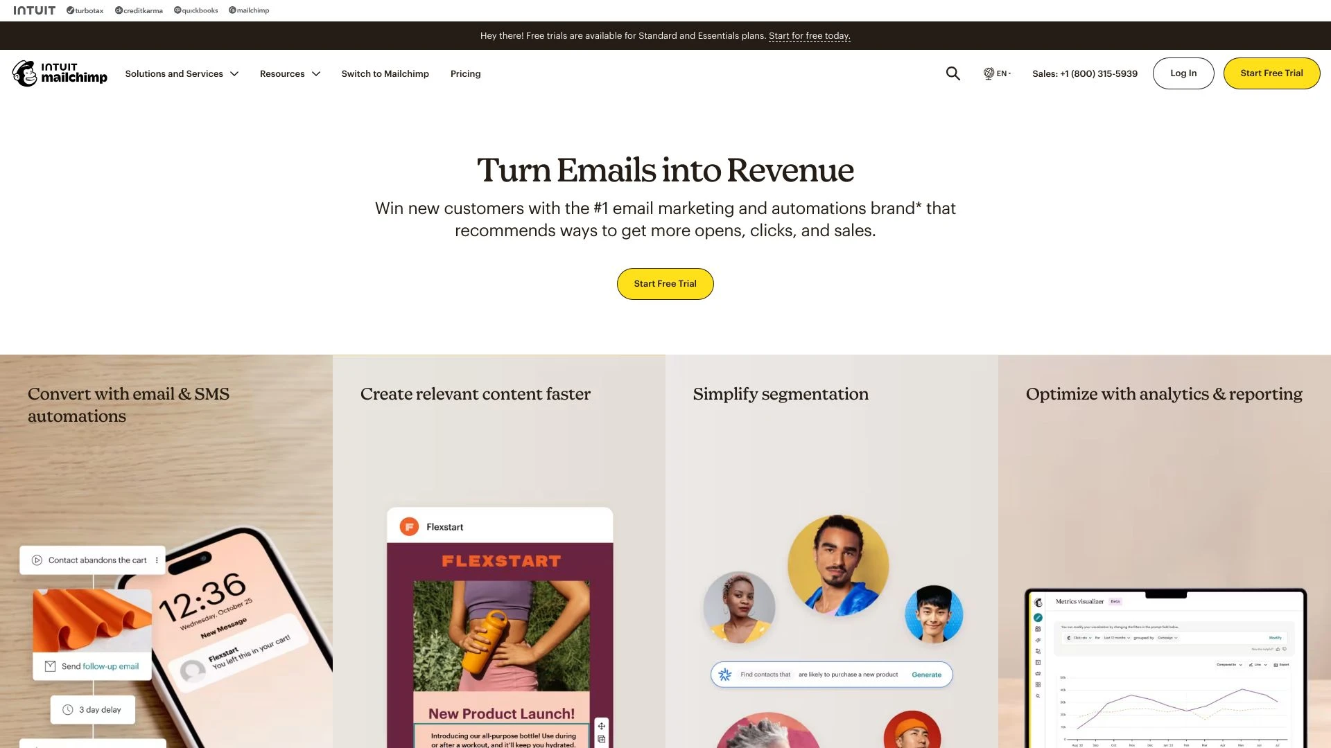 Mailchimp website preview