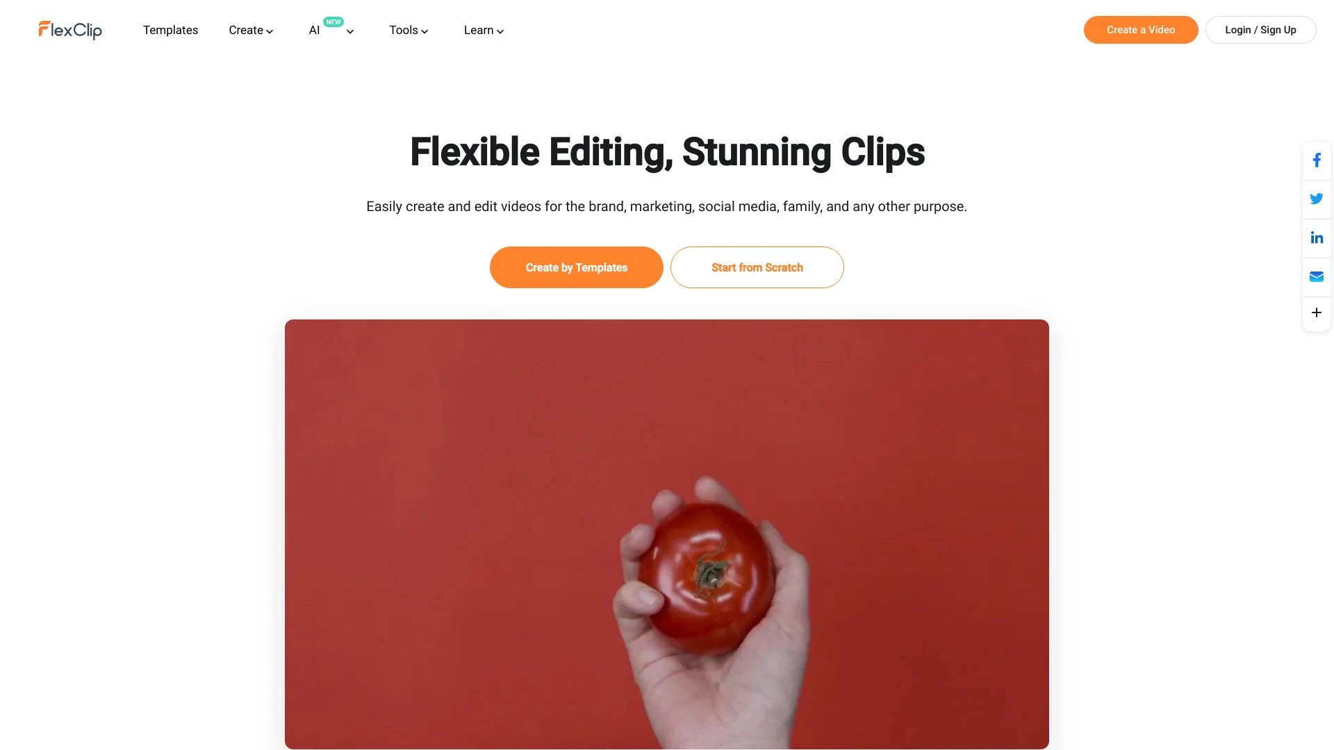 FlexClip website preview