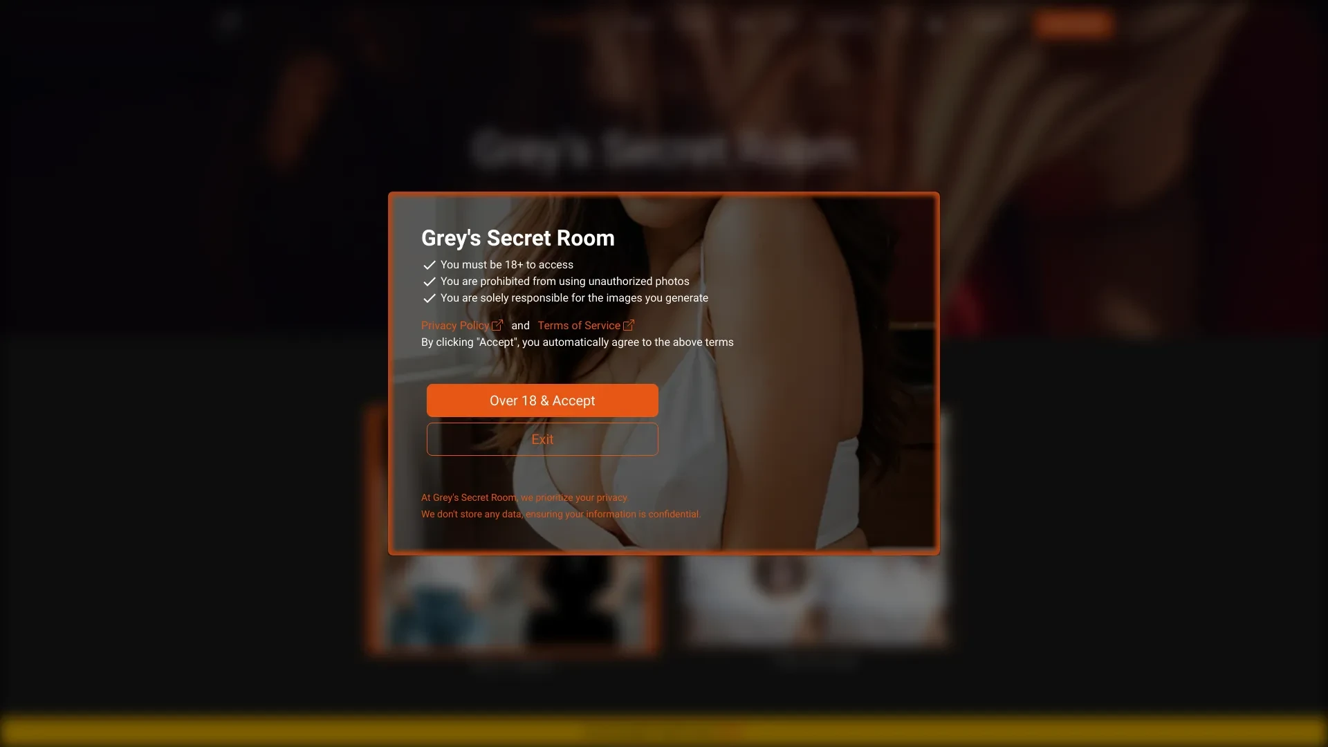 Grey's Secret Room website preview