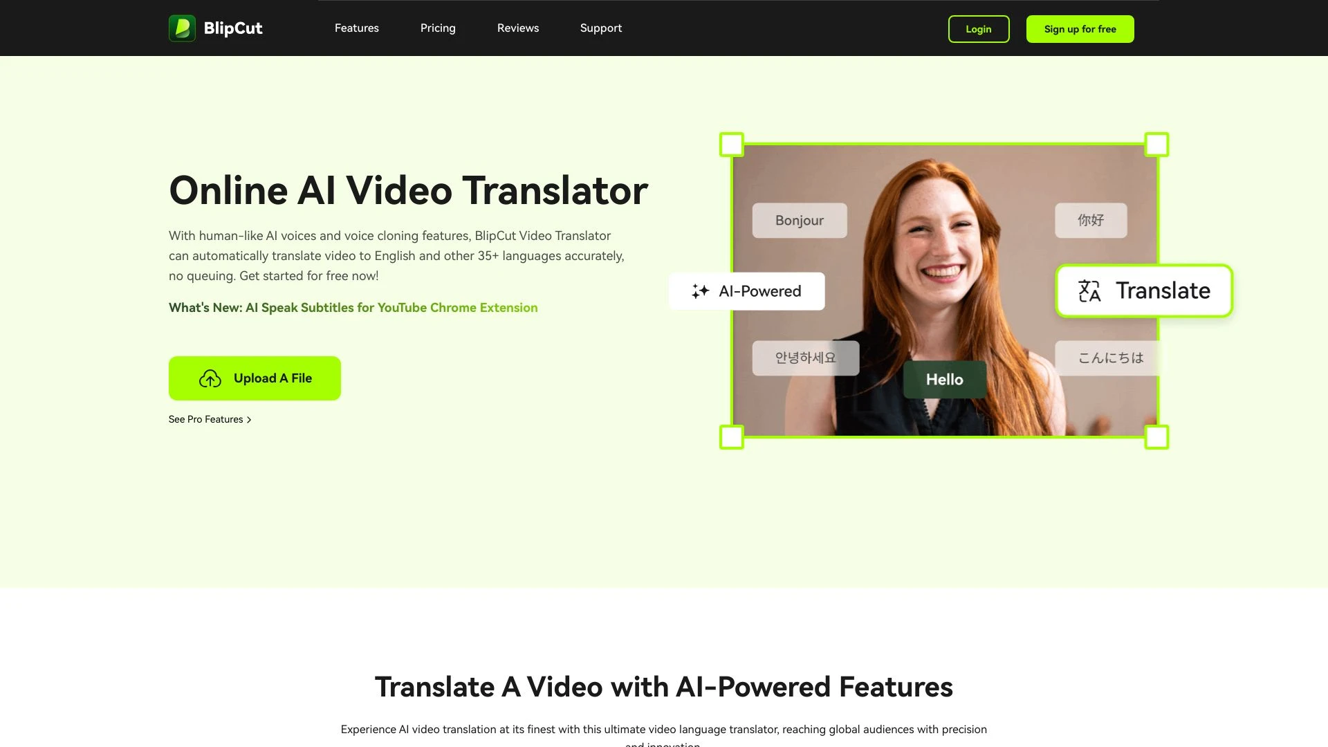 BlipCut AI Video Translator website preview