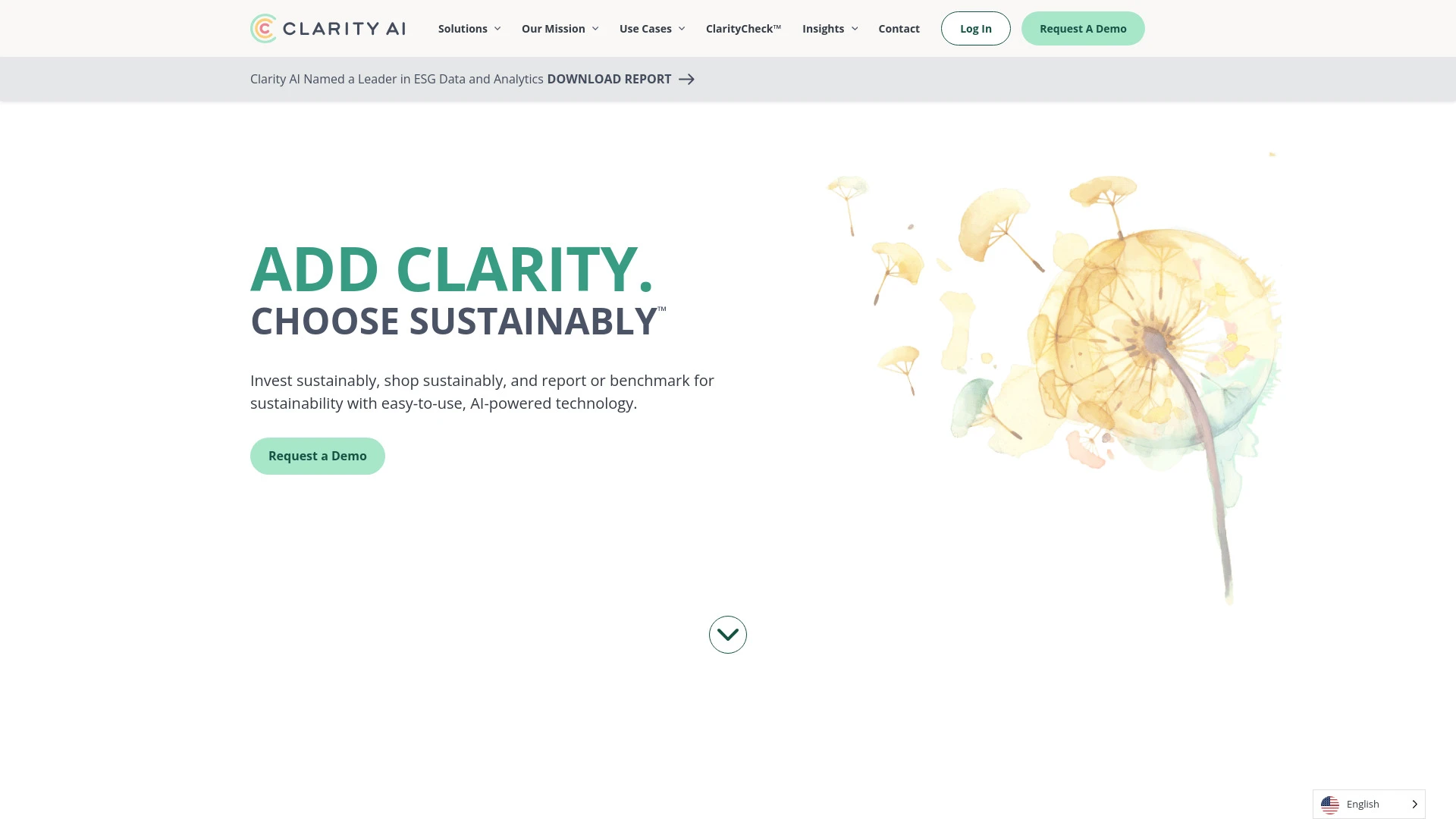 Clarity AI website preview