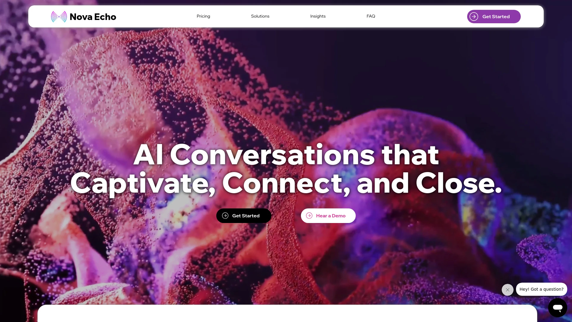 Nova Echo AI website preview