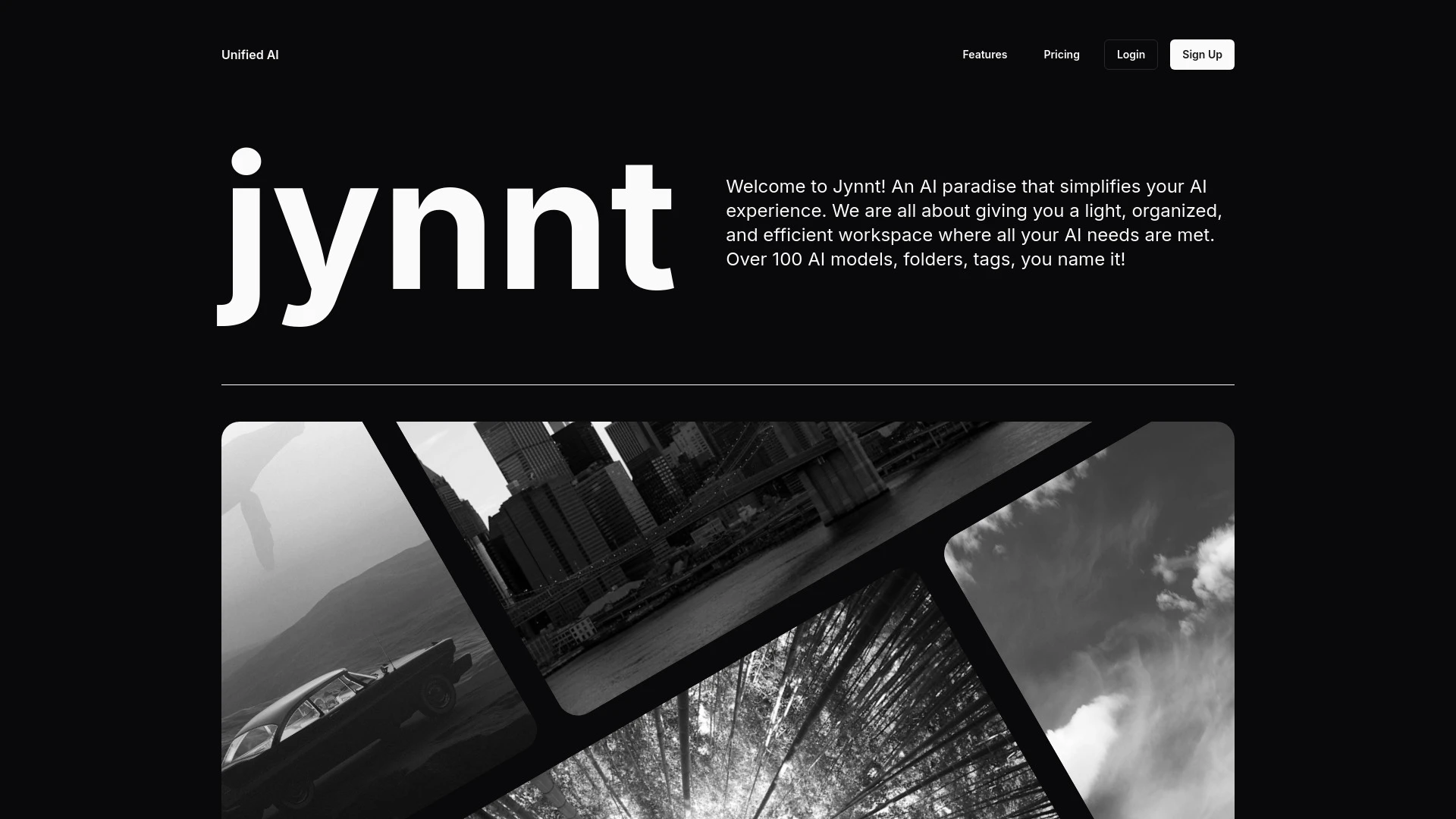 Jynnt website preview