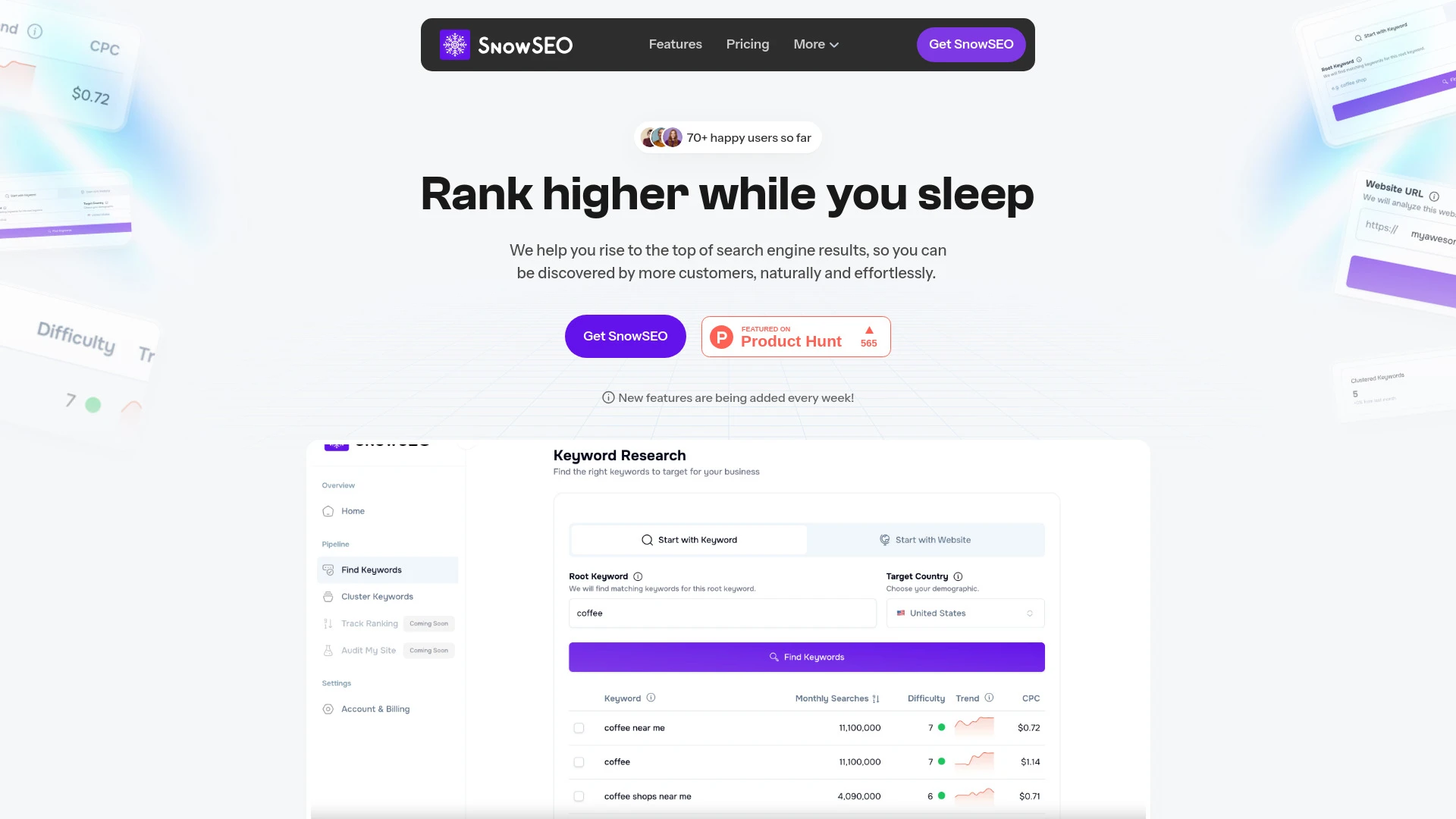 SnowSEO website preview