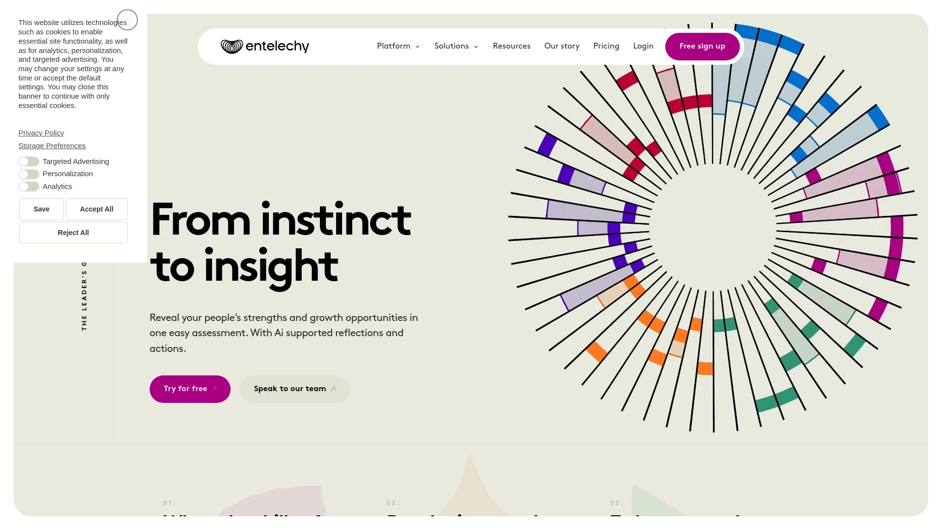 Entelechy Workforce Analytics website preview