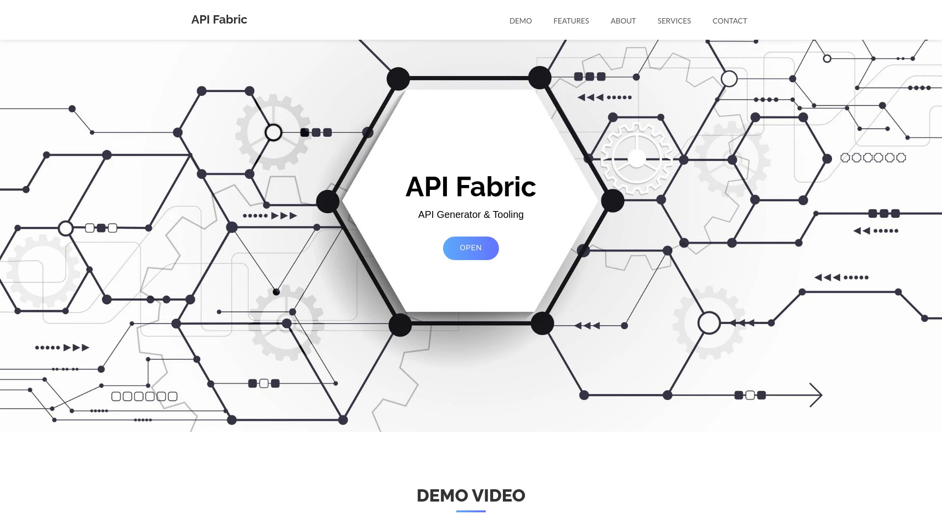 API Fabric website preview