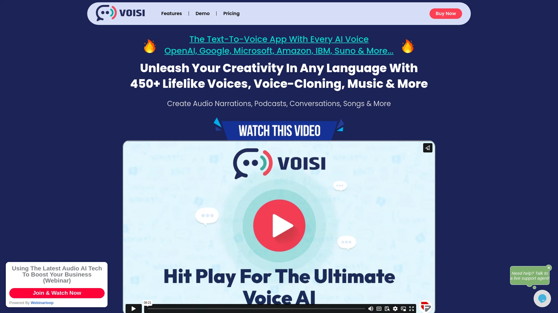 Voisi website preview