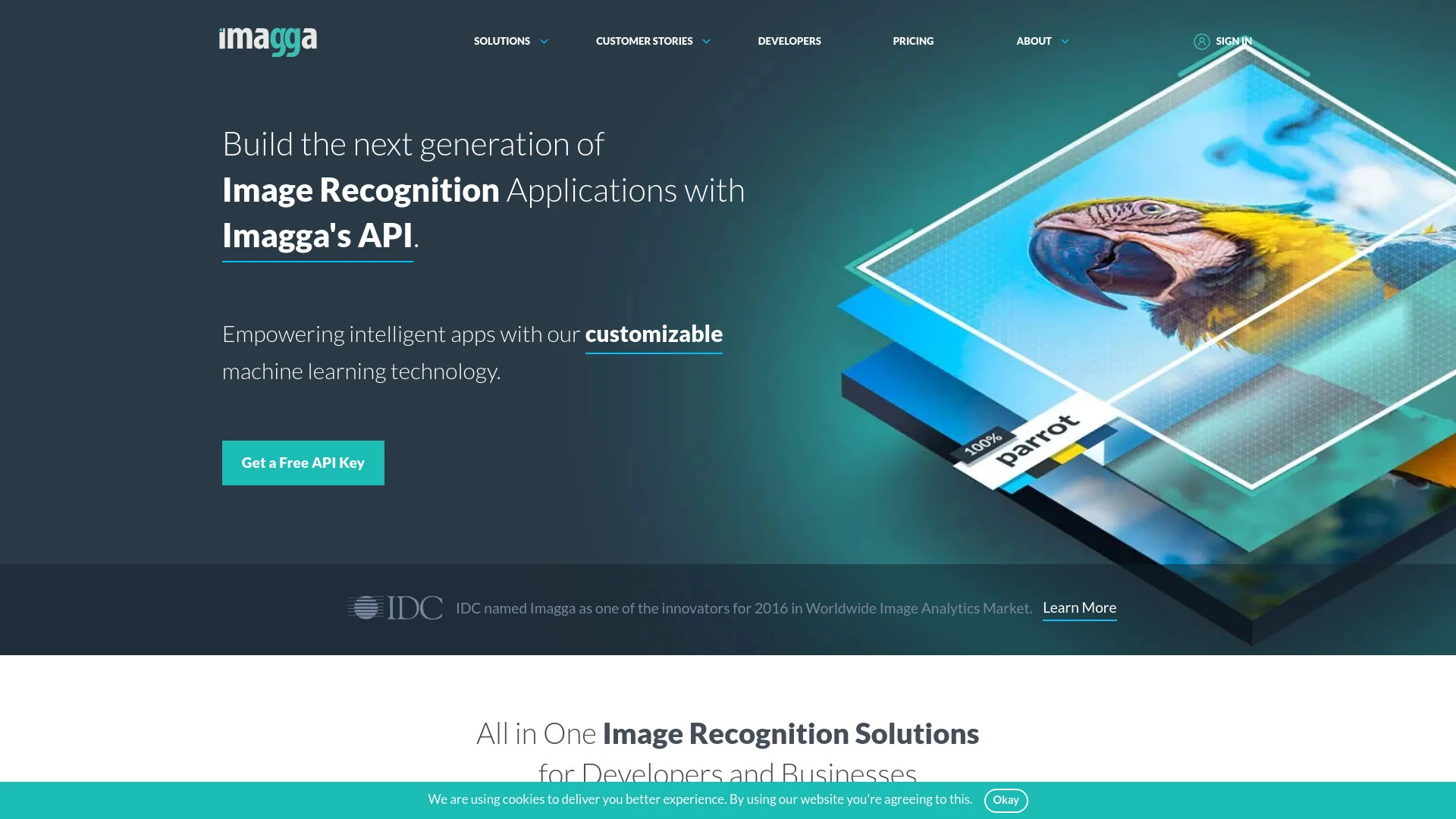 Imagga Image Recognition API website preview