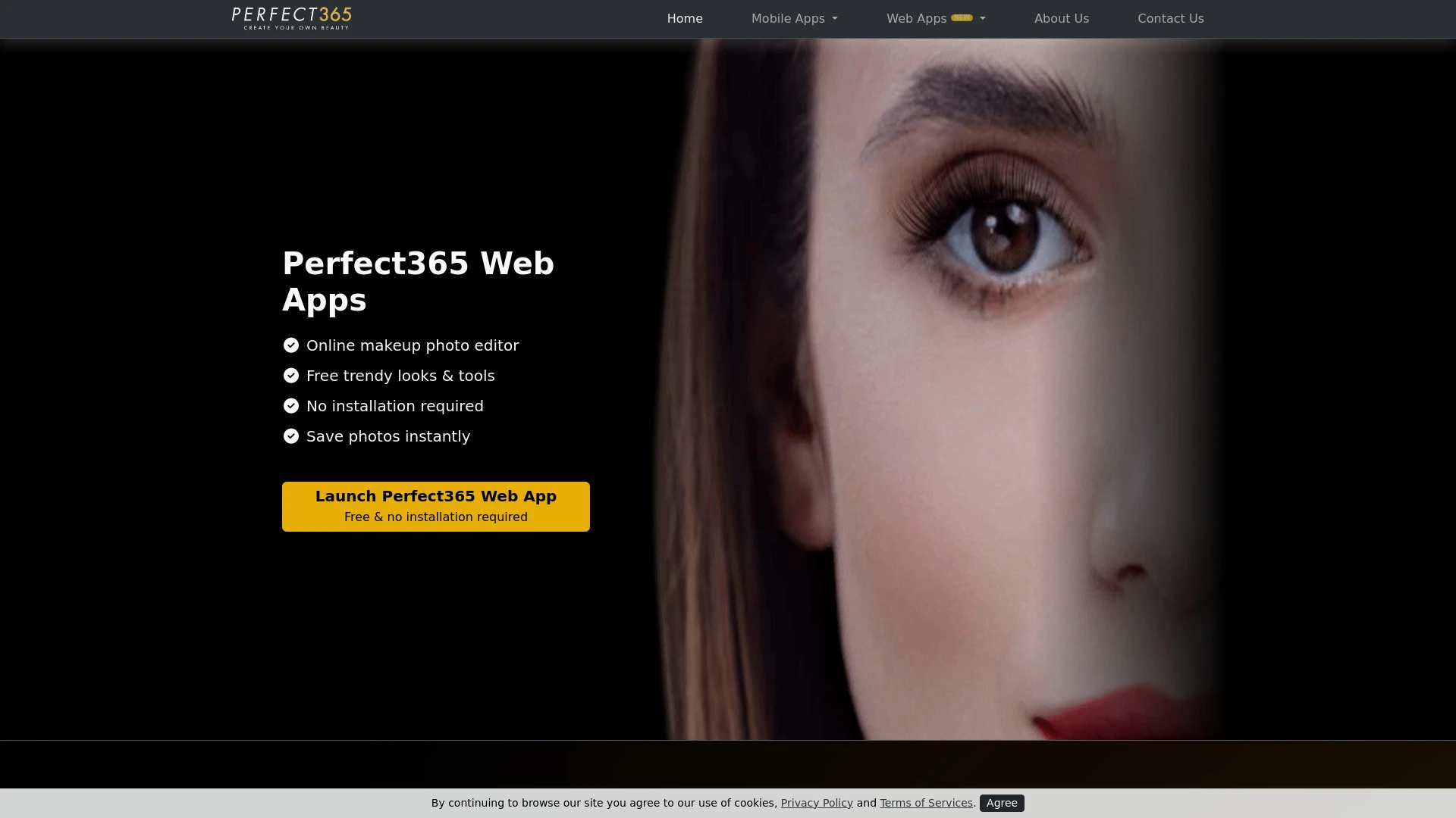 Perfect365 AI Makeup App website preview