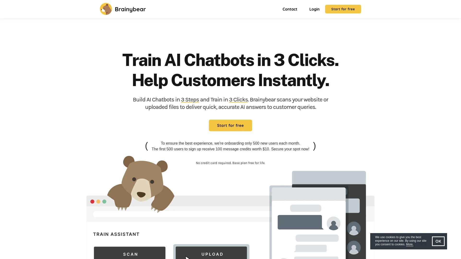 BrainyBear AI Chatbots website preview