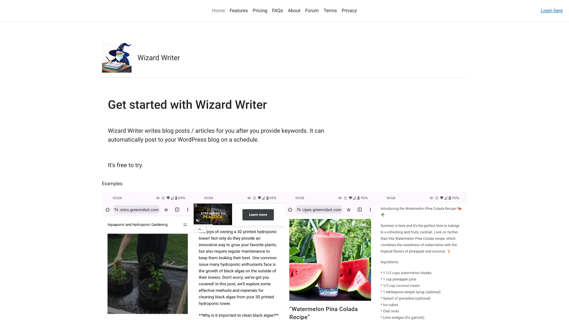 Wizard Writer website preview