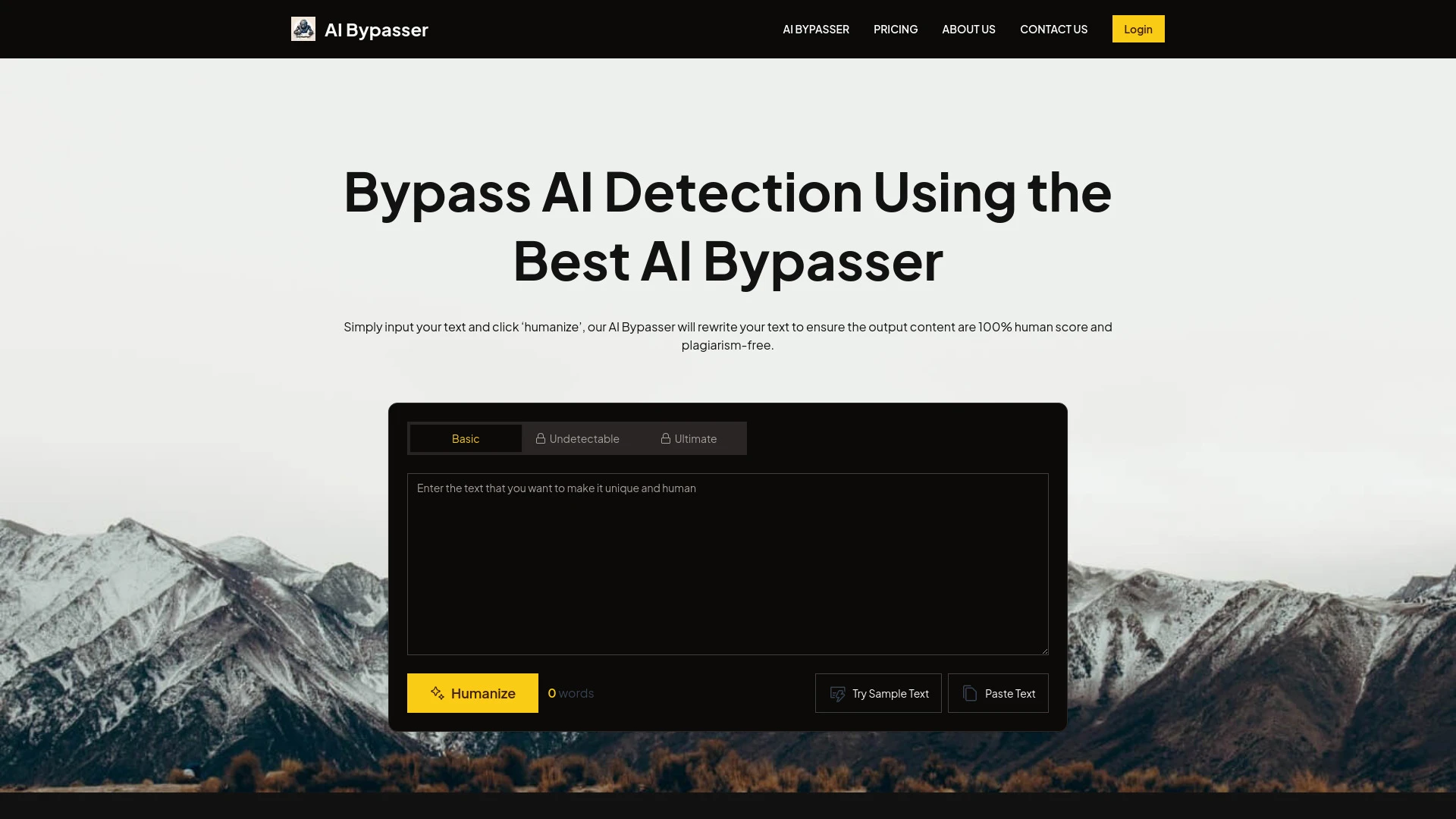 AI Bypasser website preview