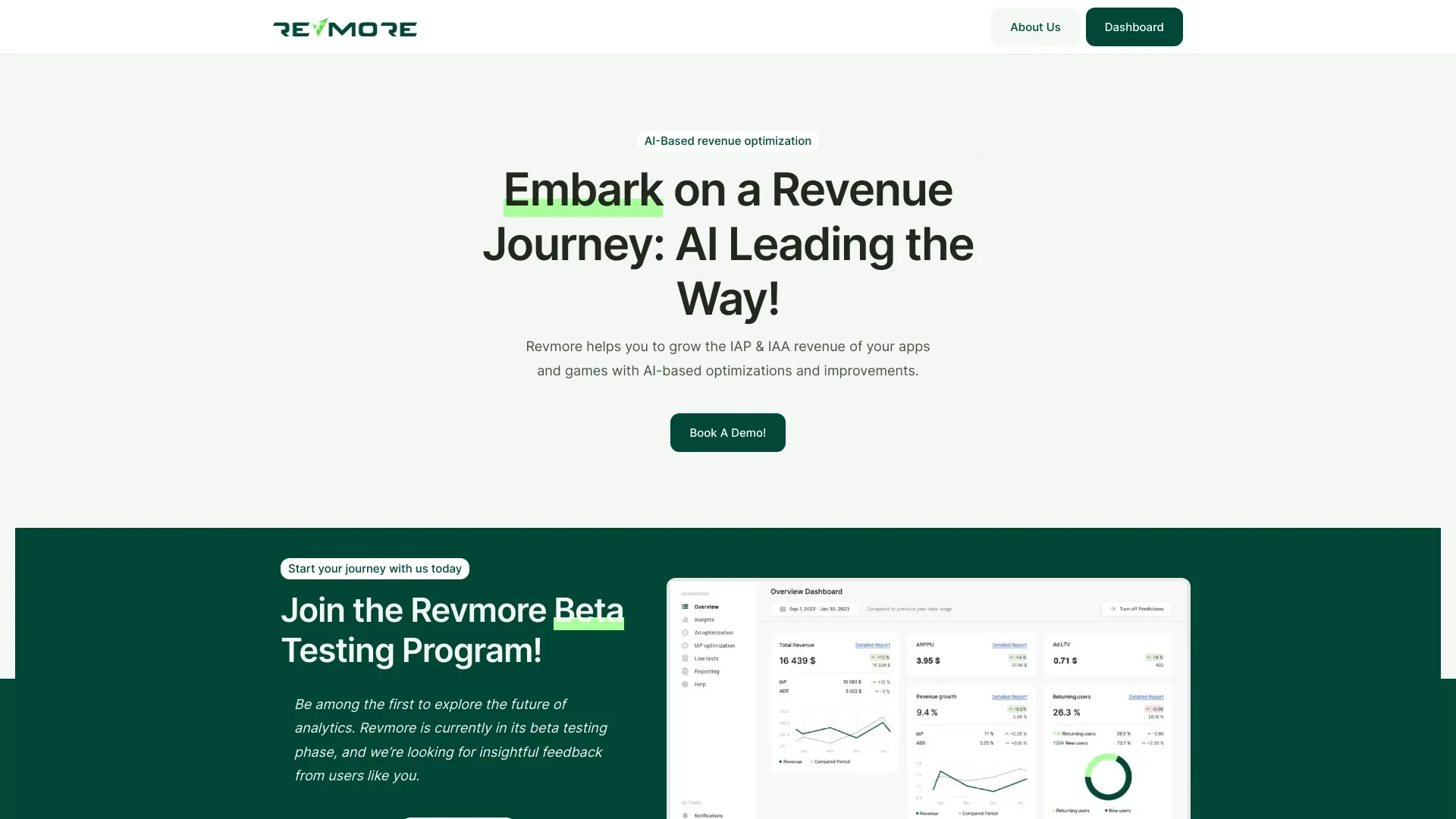 Revmore website preview