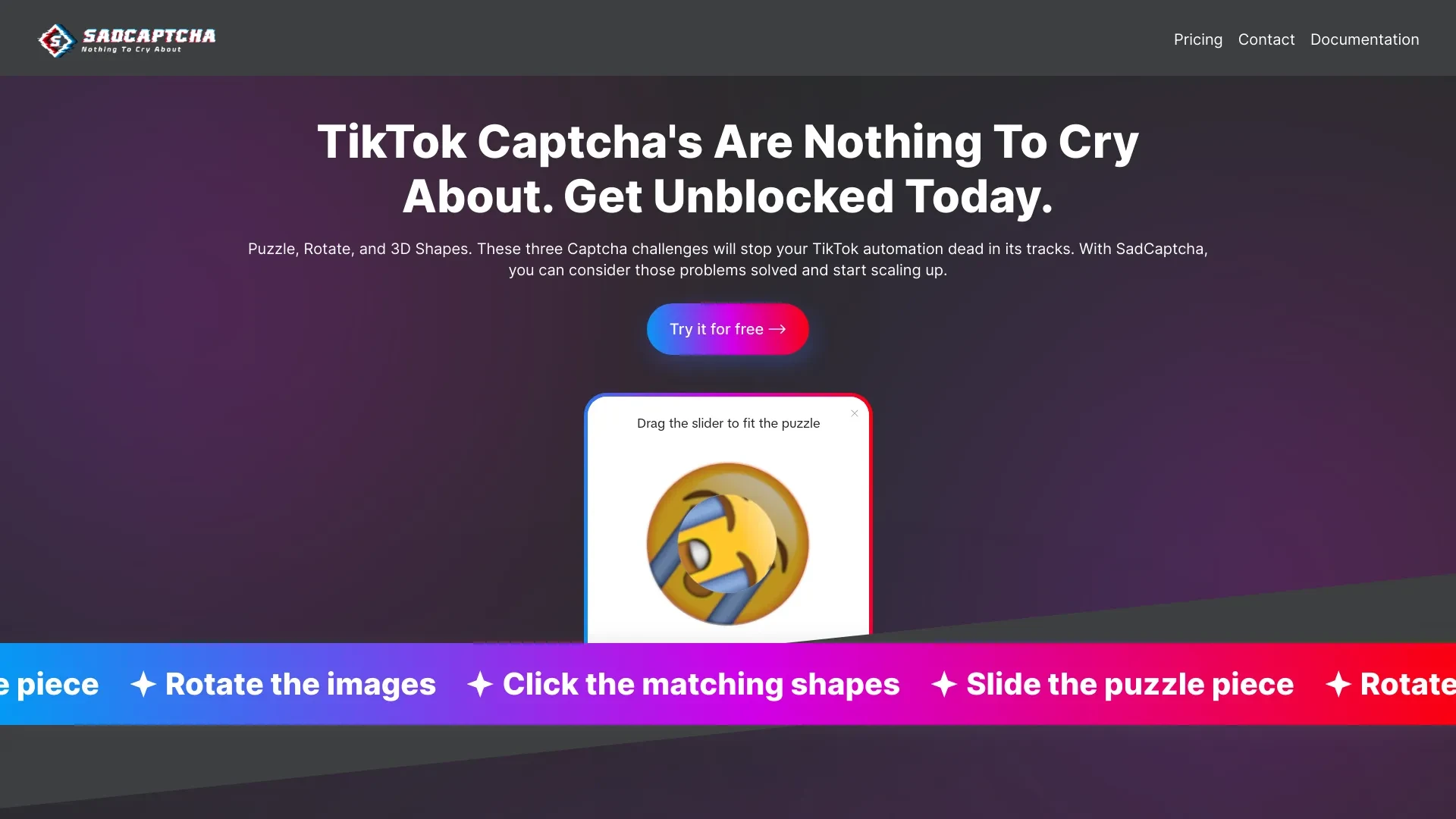 SadCaptcha website preview