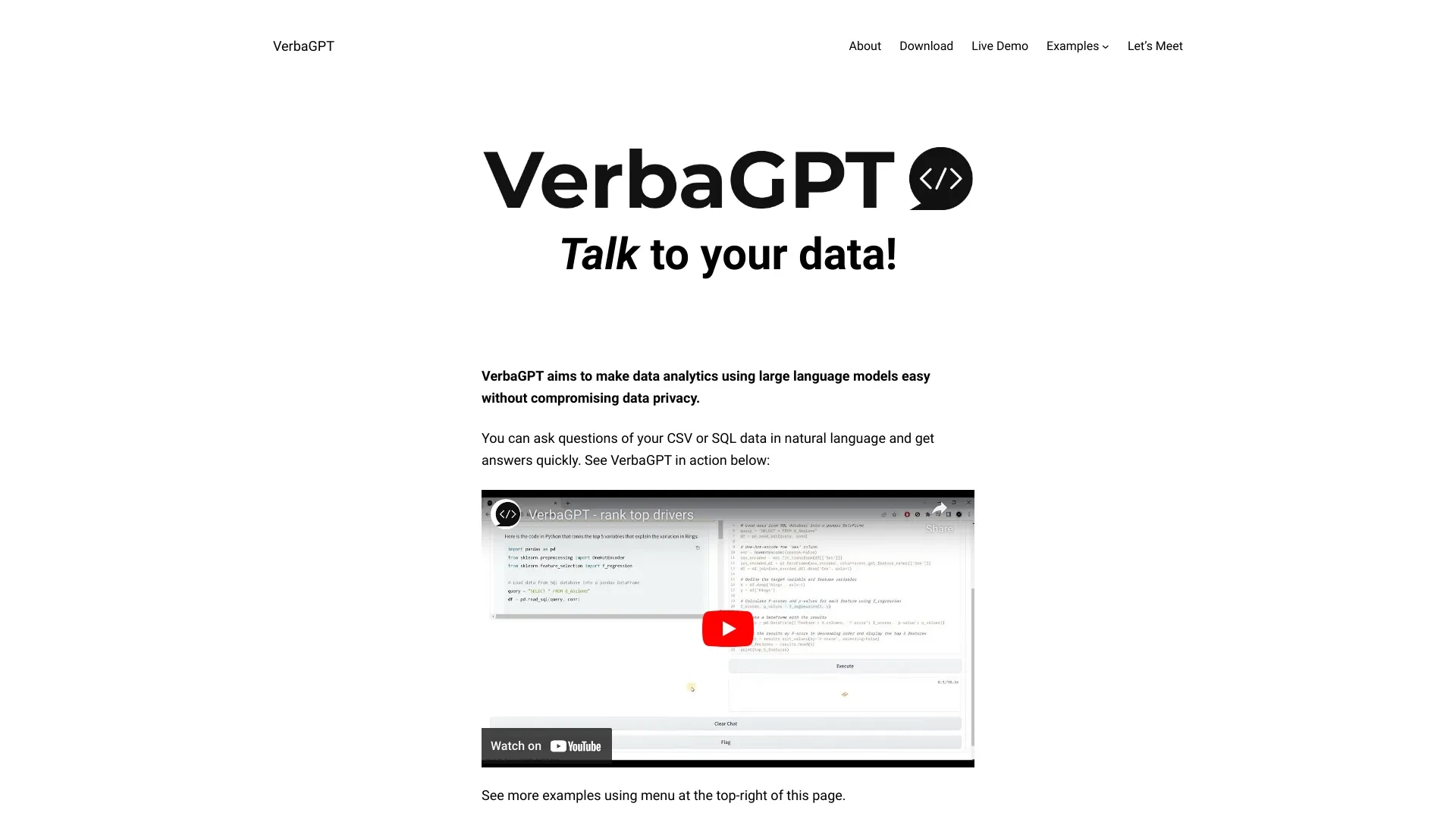 VerbaGPT website preview