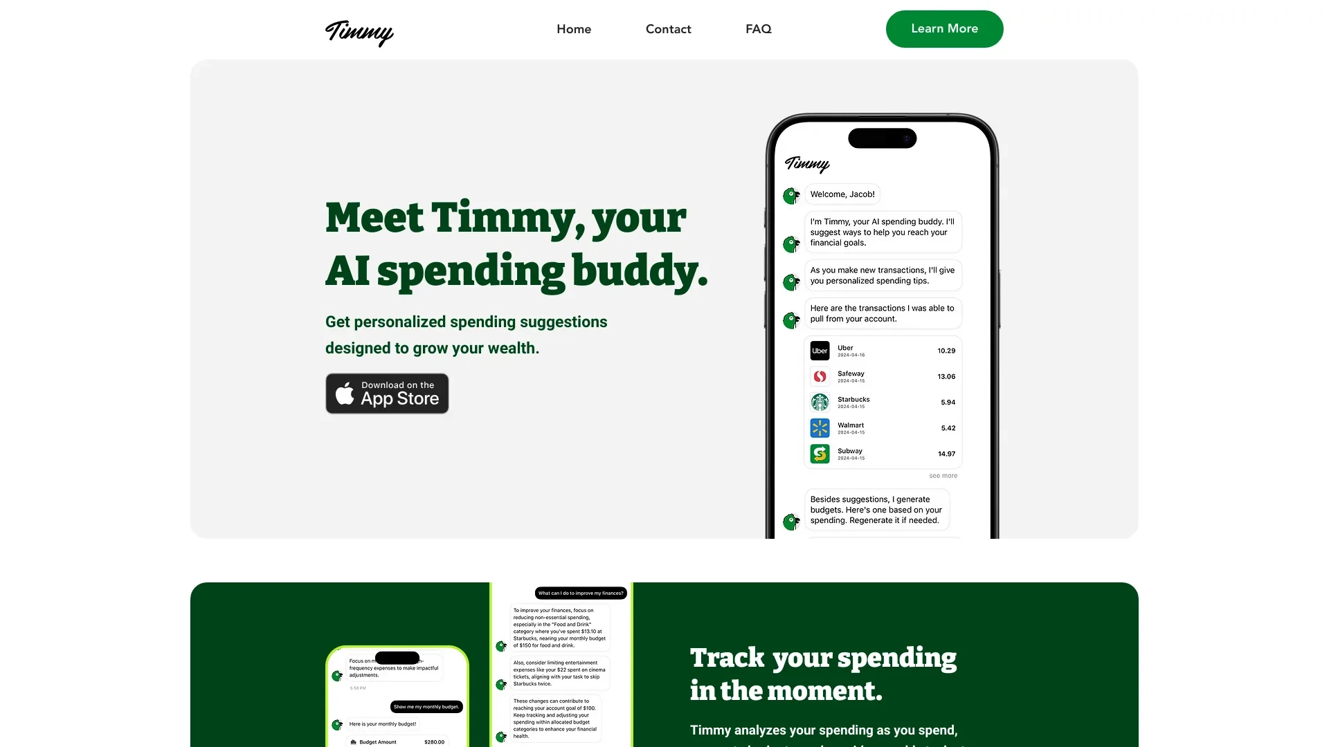 Timmy website preview