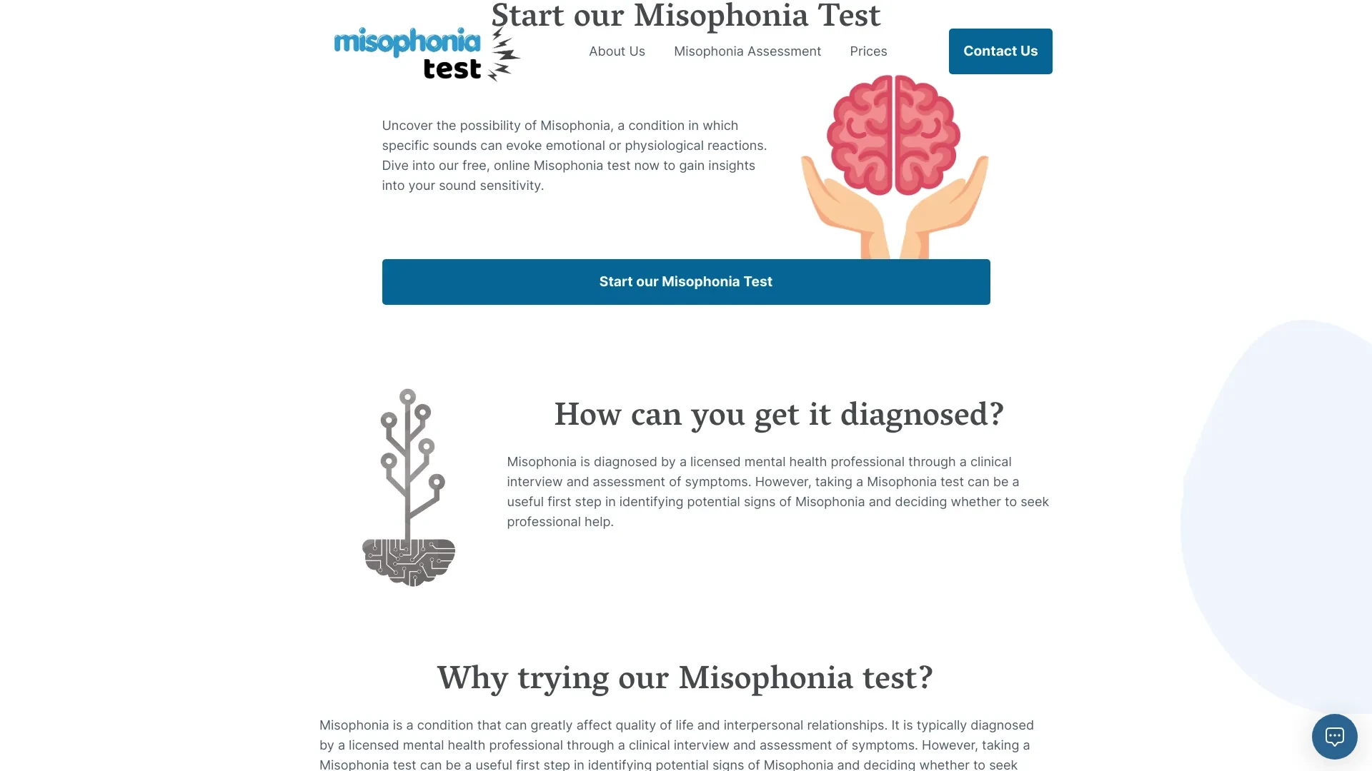 Misophonia Test website preview