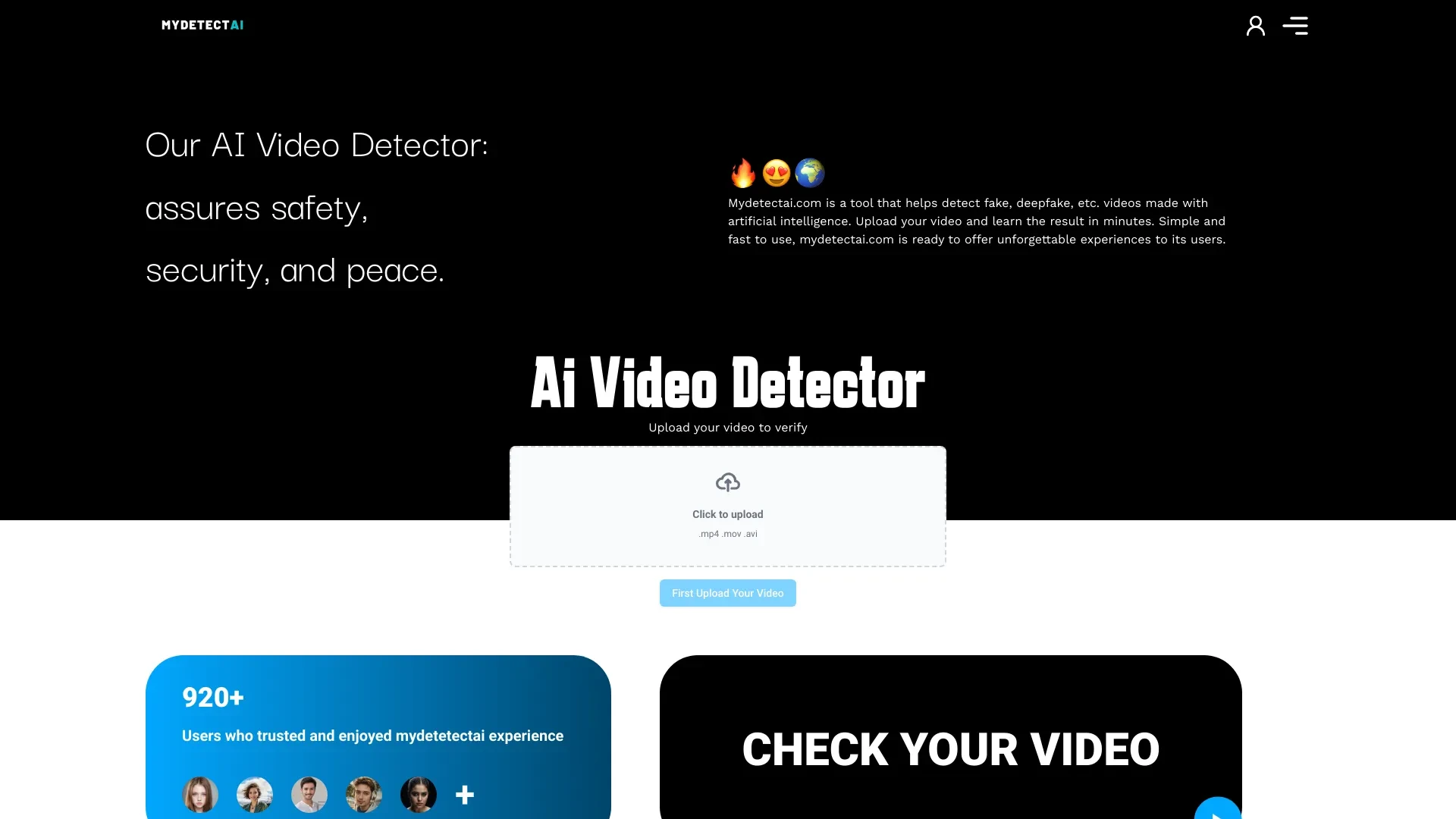 My Detect AI website preview