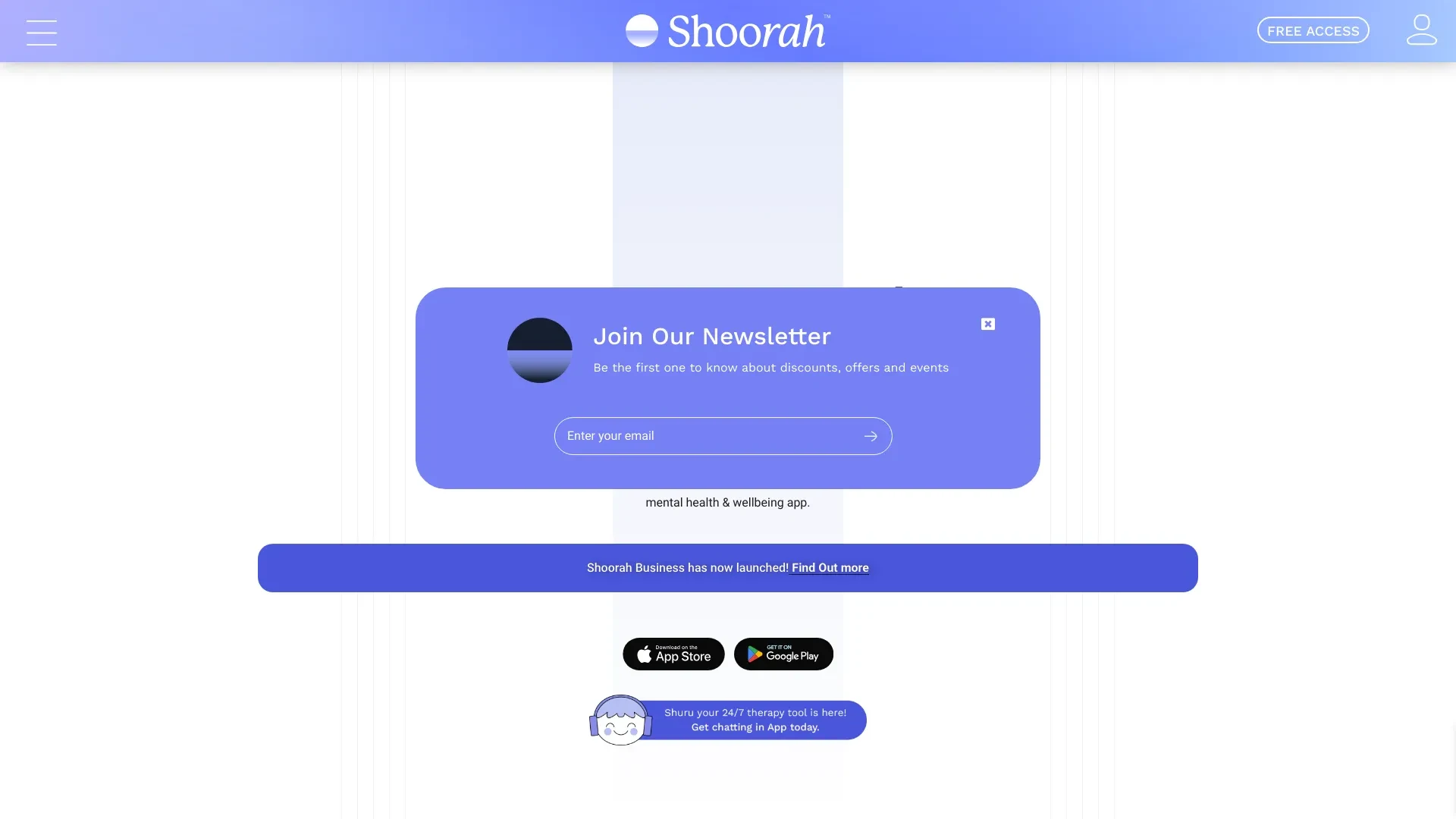 Shoorah website preview