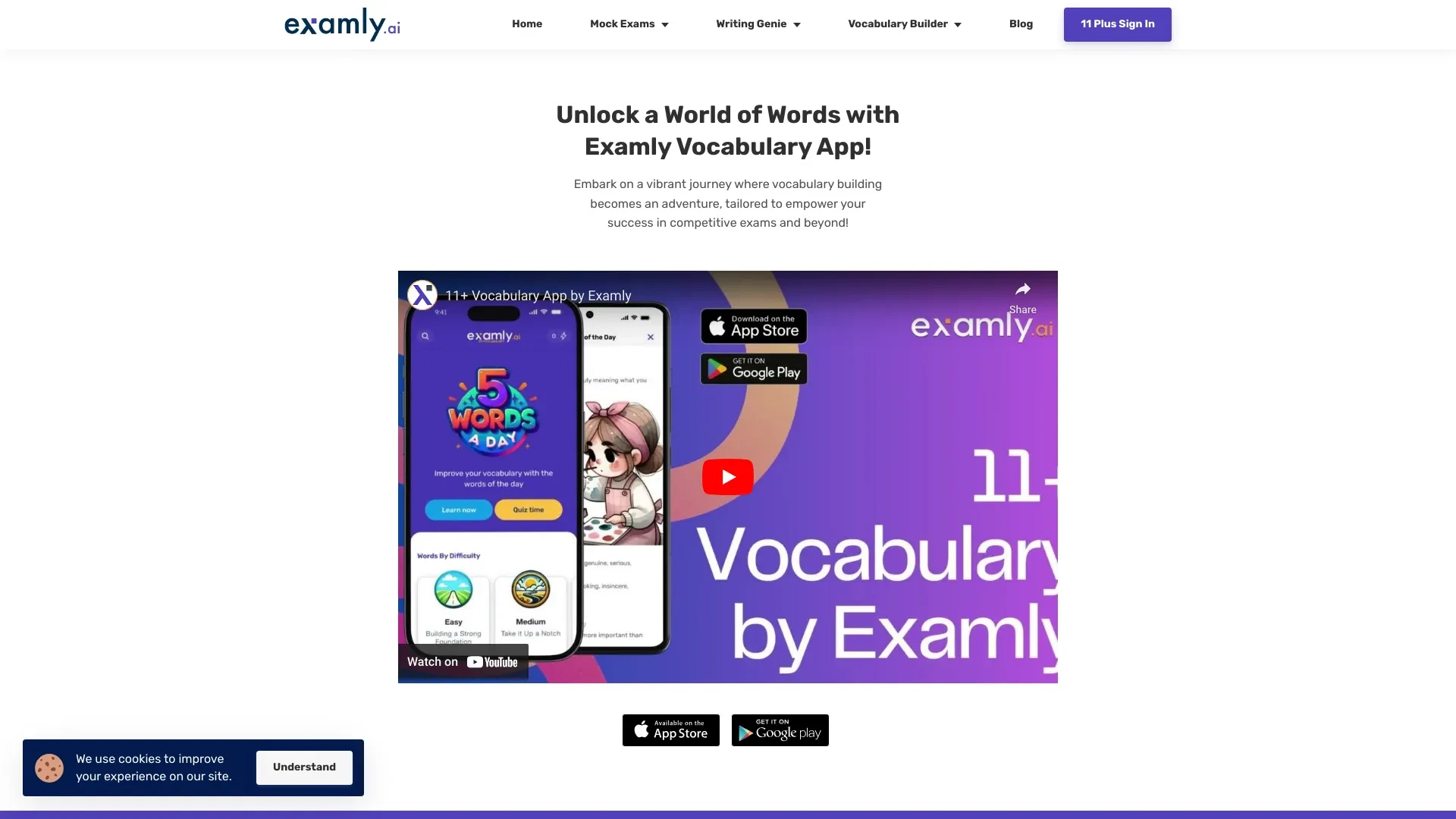 Examly website preview