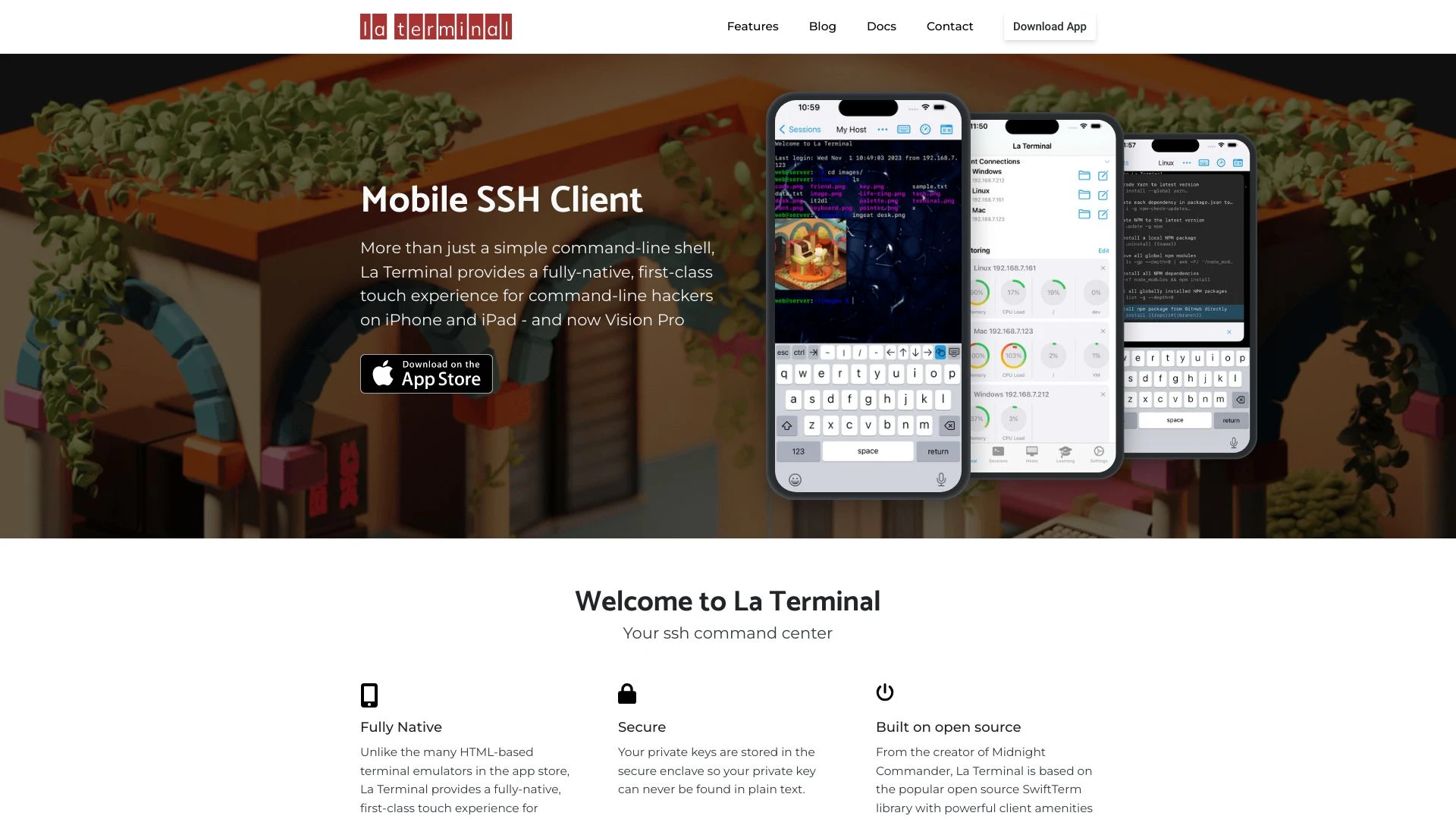 La Terminal website preview