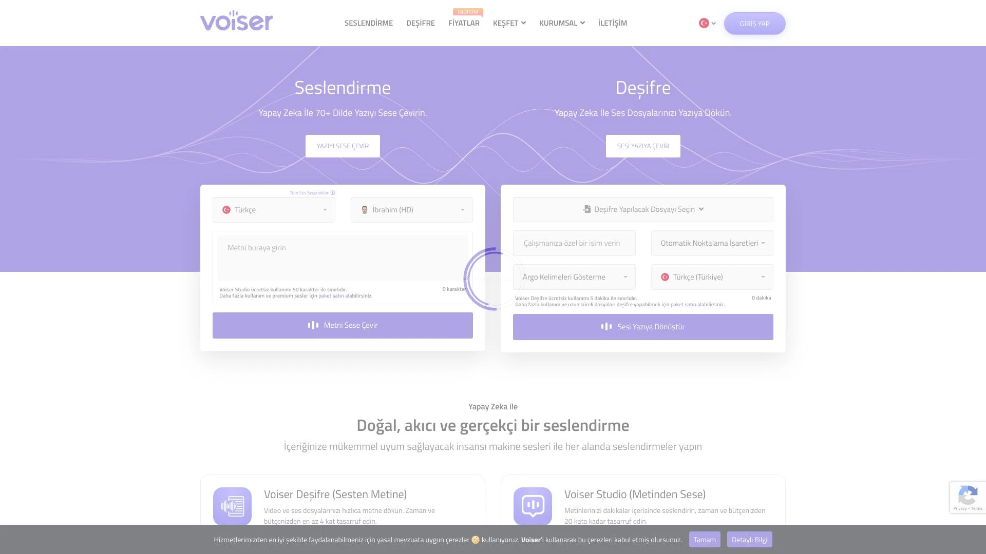 Voiser website preview