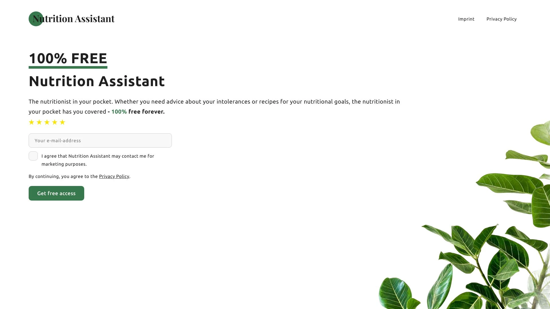 Nutrition Assistant website preview