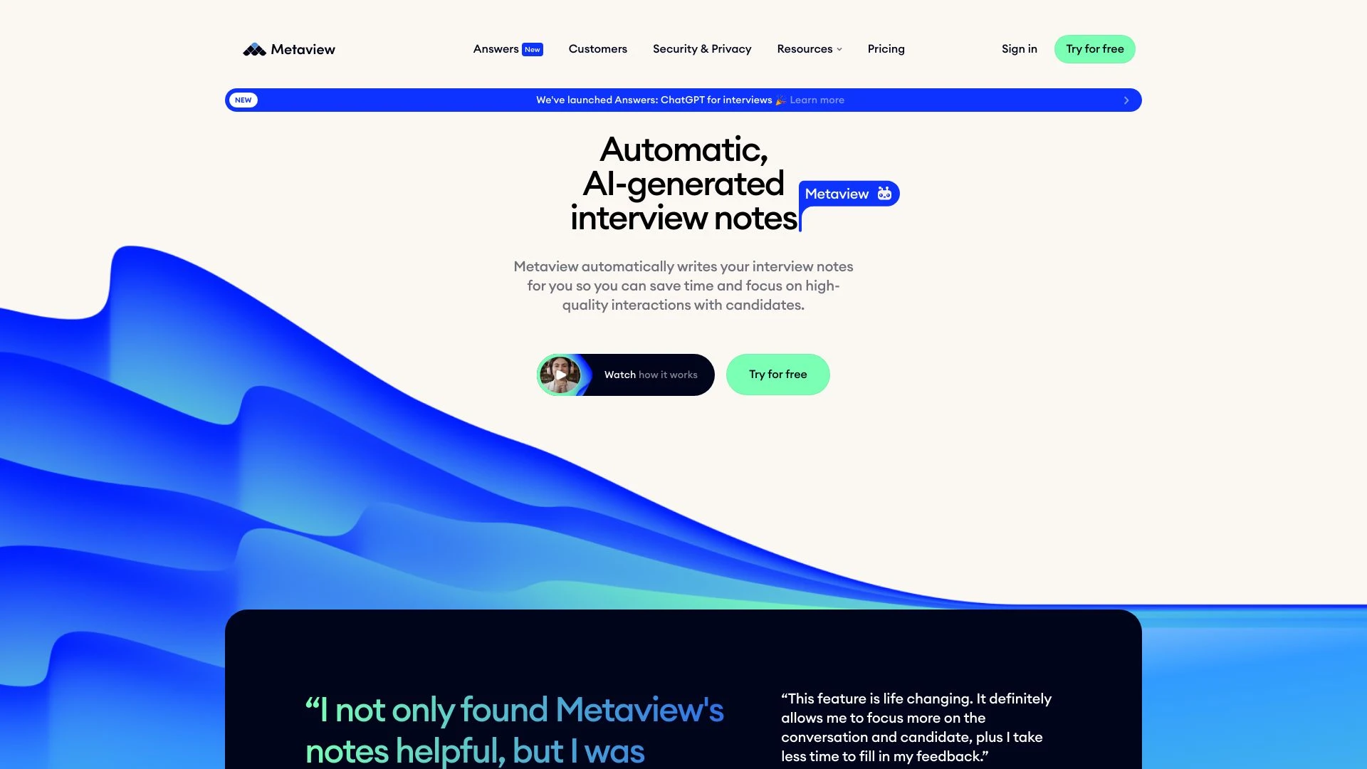 Metaview website preview