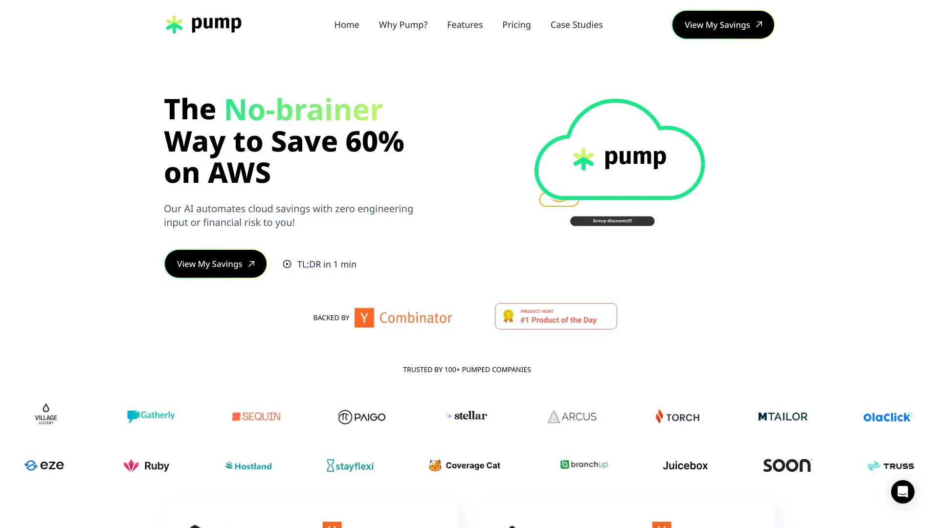 Pump website preview